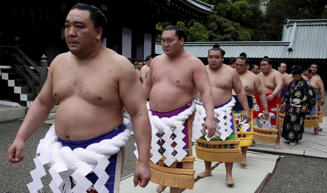 Sumo sẽ thay đổi hay chấp nhận trở thành "di sản đóng băng" của Nhật Bản?